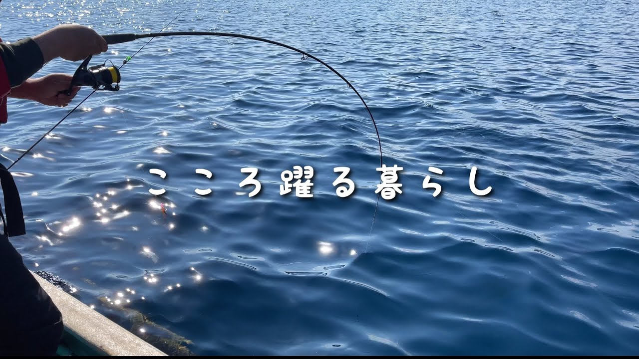 井谷水産さんで連敗脱出できるか？［こころ躍る暮らし］