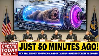 The Terrifying Bigfoot Encounter That Left Scientists Frozen in Disbelief — Caught on Camera!
