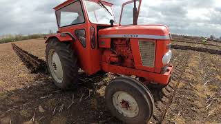 1970 Nuffield 3/45 2.8 Litre 3-Cyl Diesel Tractor (45 HP) Thorne Ploughing Match 2026