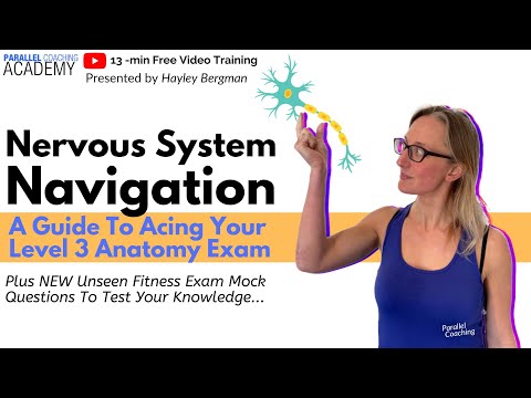 Nervous System Navigation - Anatomy Exam Revision