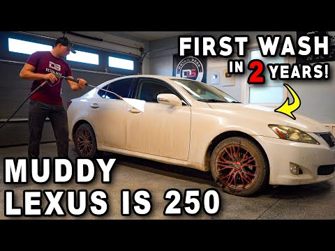 Deep Cleaning The NASTIEST Lexus?! | The Detail Geek