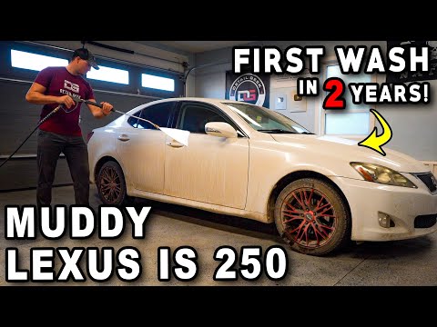Deep Cleaning an INSANELY Dirty Lexus! | Muddy Pressure Washing & Car Detailing | The Detail Geek