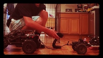 Axial wraith vs.scx10