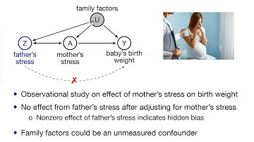 An Introduction to Negative Control & Proximal Causal Learning | Xu Shi, PhD | Jan 28, 2022