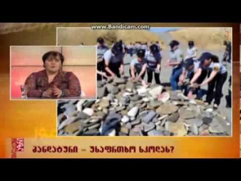 თამარ მოსიაშვილი მანდატურის შესახებ