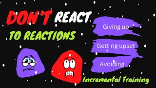 Don’t React to Your Reactions/ DNRS/Incremental Training/Brain Retraining/ Anxiety