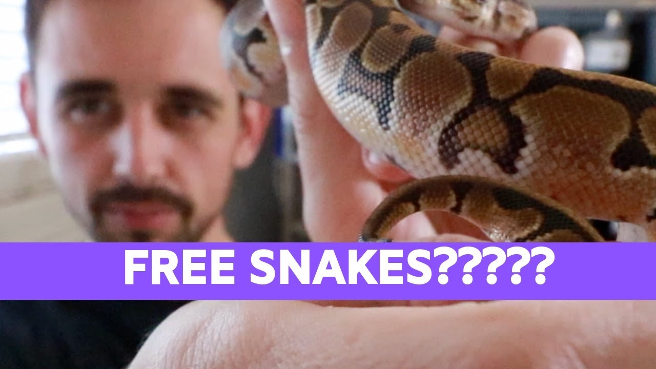 petco hours Animal GiveAways, Good or Bad?!