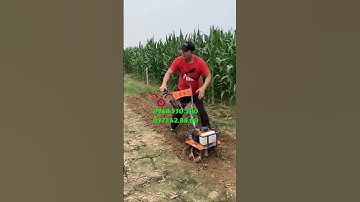 Cùng anh Trai xới đất xạc cỏ  chất hơn nước cất thôi nào #shorts #vinmax