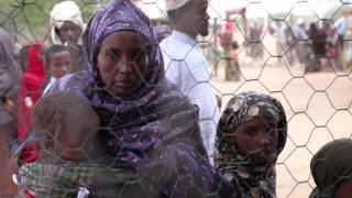 Stolen Seas - Dadaab