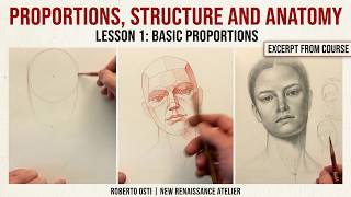 Proportions, Structure and Anatomy