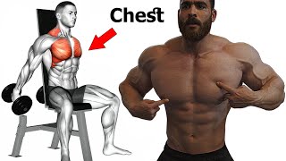 Chest - A new and excellent way to build a wide and big chest