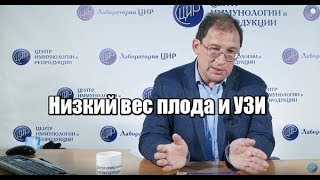 Низкий вес плода и УЗИ