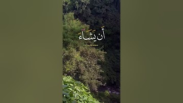القارئ الشيخ  اسلام صبحي| راحة نفسية| #قران كريم صوت جميل