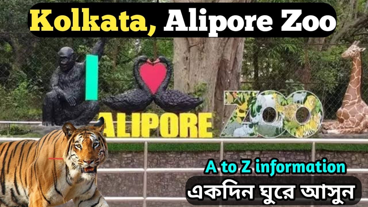 Kolkata Alipore Zoo আলিপুর চিড়িয়াখানা 2023 Kolkata Zoological