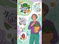 Nutrition based Food Information for women from Youth Buddy | #shorts