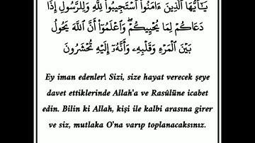سورة الانفال | يا ايها الذين امنوا استجيبوا لله وللرسول | تلاوة خاشعة بصوت ياسر الدوسري