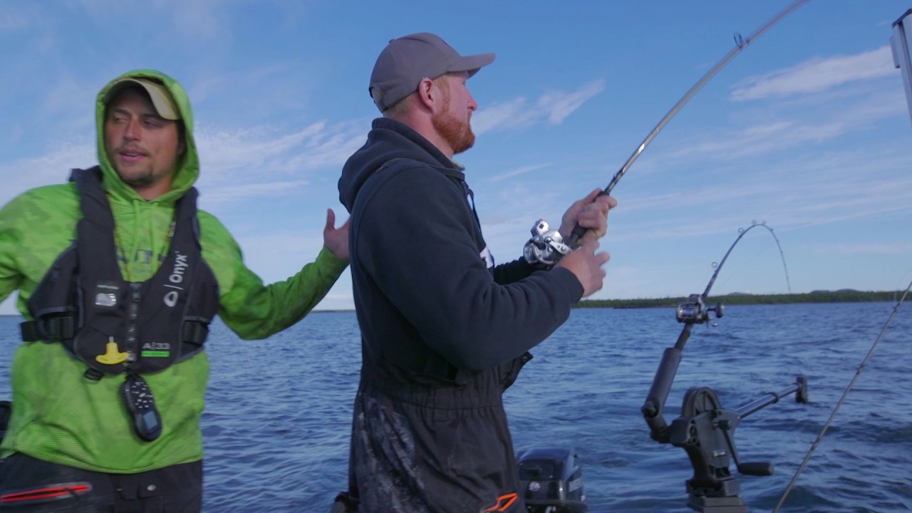 The offseason - Exploring new waters