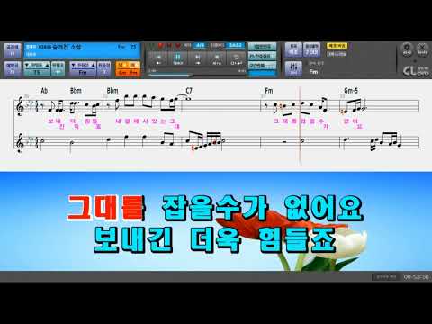 최유나 ㆍ 숨겨진소설 ㆍ 여자 원키 ㆍ 영상MR