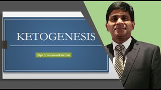 Ketone body metabolism: Ketogenesis:  biochemistry