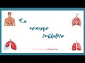 La mécanique ventilatoire( la mécanique de la respiration):Pressions, respiration-Physiologie