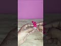 #shorts#shortsviral#ytshorts#trendingshorts#shortsfeed#vlog, #dailyvlog, #lifestyle, #minivlog