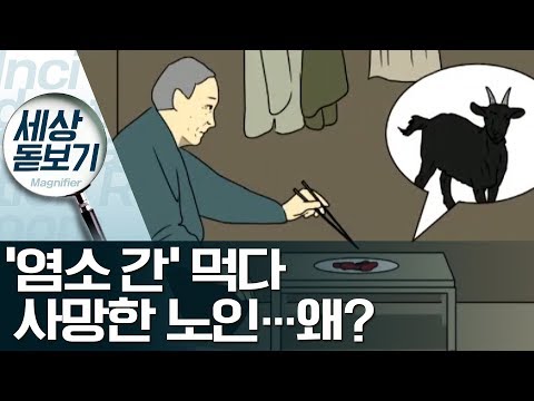 염소 고기 먹다 쓰러져 병원 이송됐지만 사망 사건상황실 