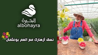 Albohayra  | نسق أزهارك مع العم بوعثمان 