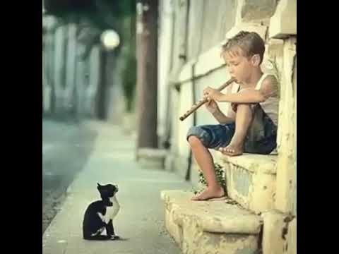 مزمار الناي لا يفوتك