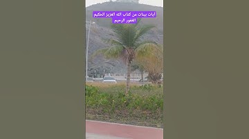 آيات بينات من كتاب الله العزيز الحكيم #كن_مع_الله_ولا_تبالي #قران_كريم #المصحف