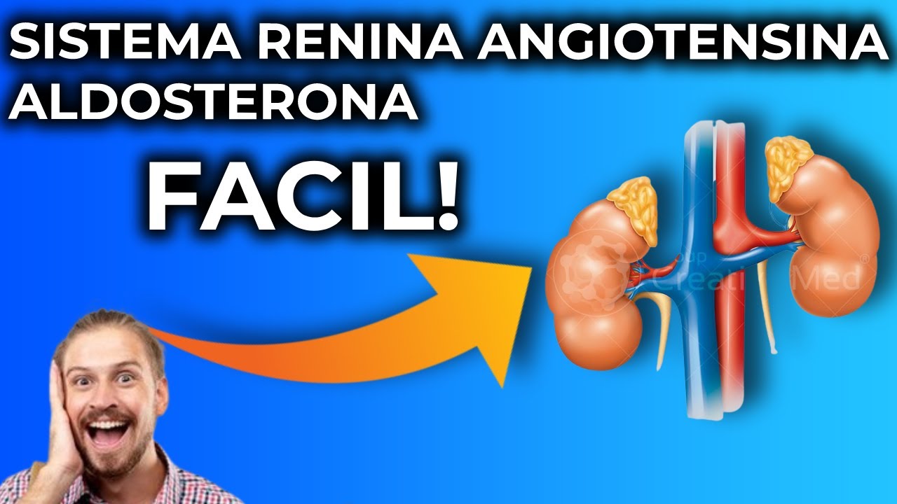 Sistema Renina Angiotensina Aldosterona Explicado Fácil y Sencillo YouTube Sistema Renina Angiotensina Aldosterona Explicado Fácil y Sencillo YouTube