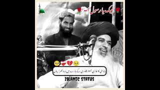Allama Khadim Hussain Rizvi 💔 | Ghazi Mumtaz Qadri Ke Bare Mein Dard Bhara Bayan | Zaroor Sunain screenshot 5