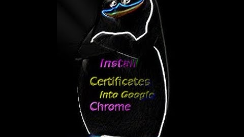 How to Add SSL Certificates / Installing Burp