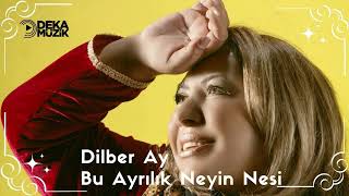 Dilber Ay - Bu Ayrılık Neyin Nesi (DEKA MÜZİK) Resimi