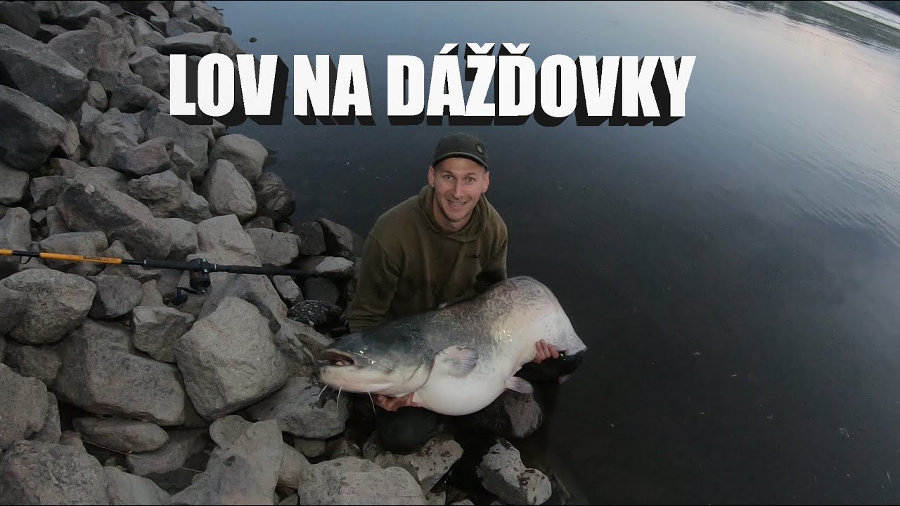 Lov na dážďovky (