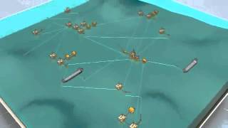 Maersk Oil - Al Shaheen Field Development Plan (FDP 2005)