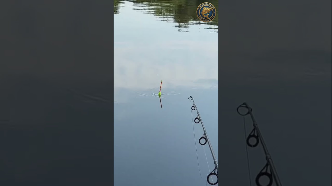 Small Fish, Big Fight! 🐟 Perfect Day Out on the Water/ Pure Fishing Magic: Catching and Releasing 🌊✨