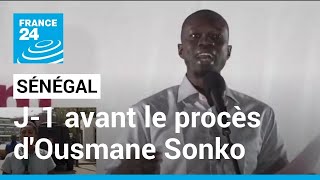 Manifestations de soutien à Ousmane Sonko : forte tension politique au Sénégal • FRANCE 24