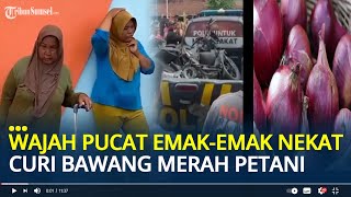 Nasib Dua Emak-emak Nekat Curi Bawang Merah Petani di Demak, Berakhir Motornya Dihancurkan Massa