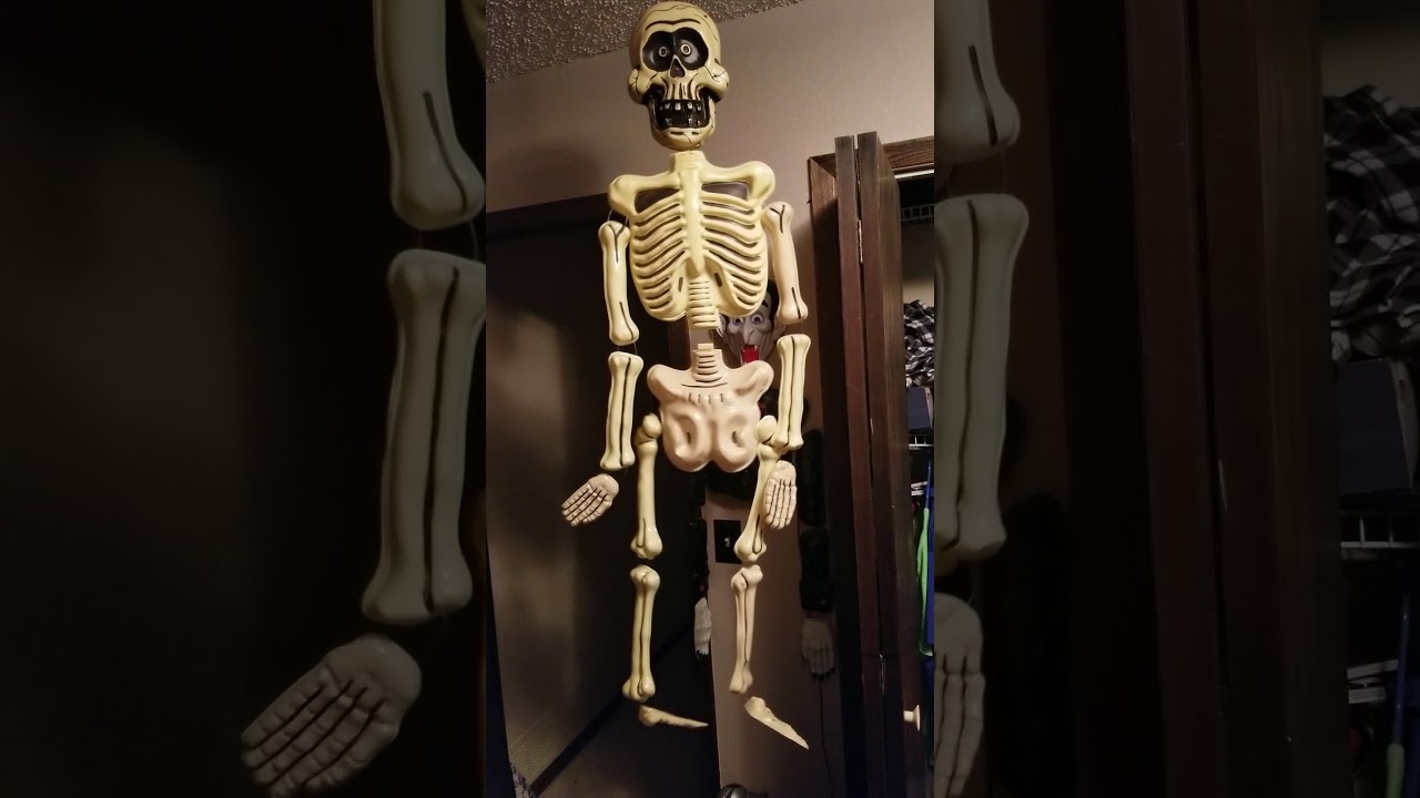 Take One Animated Big Head Jangles