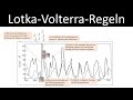 Lotka-Volterra-Regeln [Räuber-Beute-Beziehungen] - Luchs + Schneehase [Biologie, Ökologie,Oberstufe]