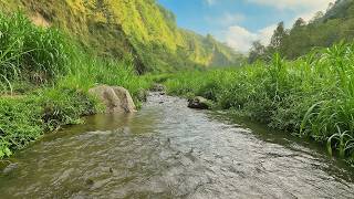 استرخاء وتأمل عميق مع مناظر طبيعية خلابة وأصوات الطبيعة النقية | Deep Nature Relaxation