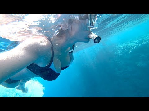 ЕГИПЕТ-АКУЛЫ, МОРЕ, КОРАЛЛЫ! ШАРМ-ЭЛЬ-ШЕЙХ. Отдых в Египте!
