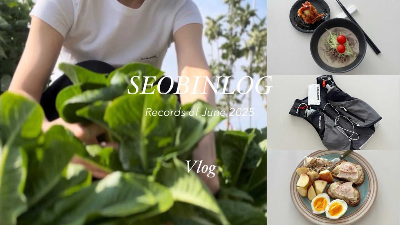 직장인 브이로그 | 잘 쉬고,먹고,소비했던 나의 일주일 기록 | 출근룩 | 살로몬 | 아비에무아