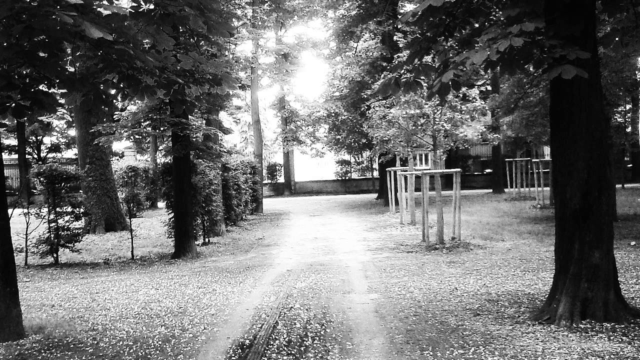 Infinitas  -  Ein Paradies das ich fand