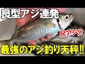 【東京湾】最強天秤で良型アジが連発した!ライトアジで良型を釣るコツをご紹介。これだけで良型アジの釣果が変わります!←アジ三昧で食います