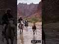 مربط اشواق للخيل العربية الاصيلة 