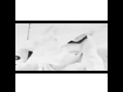 لمين ابشكي غرامك فهد بن سعيد 