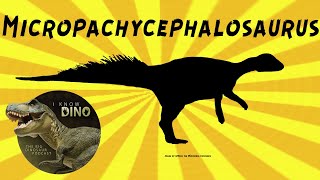 Micropachycephalosaurus: Dinosaur of the Day