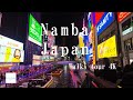 Walks In Nipombashi And Namba Japan 4k 60 Walks In Nipombashi And Namba Japan 4k 60