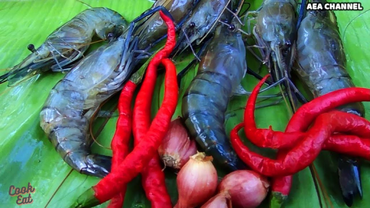 Day 10 Hunt Cook And Eat Shrimp The Intention Was To Hunt Fish day-10-hunt-cook-and-eat-shrimp-the-intention-was-to-hunt-fish